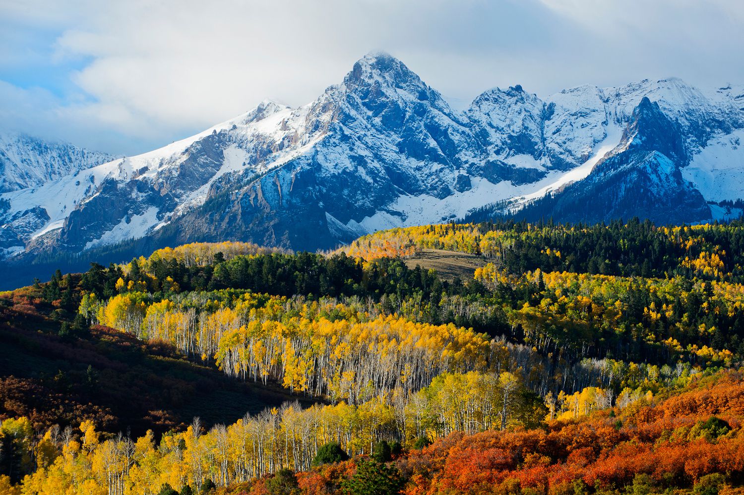 Leaf Peeping