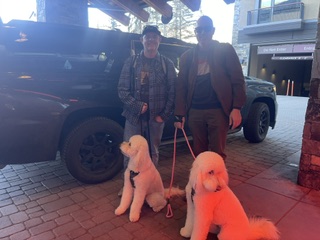 Two travelers standing with two dogs beside a black SUV